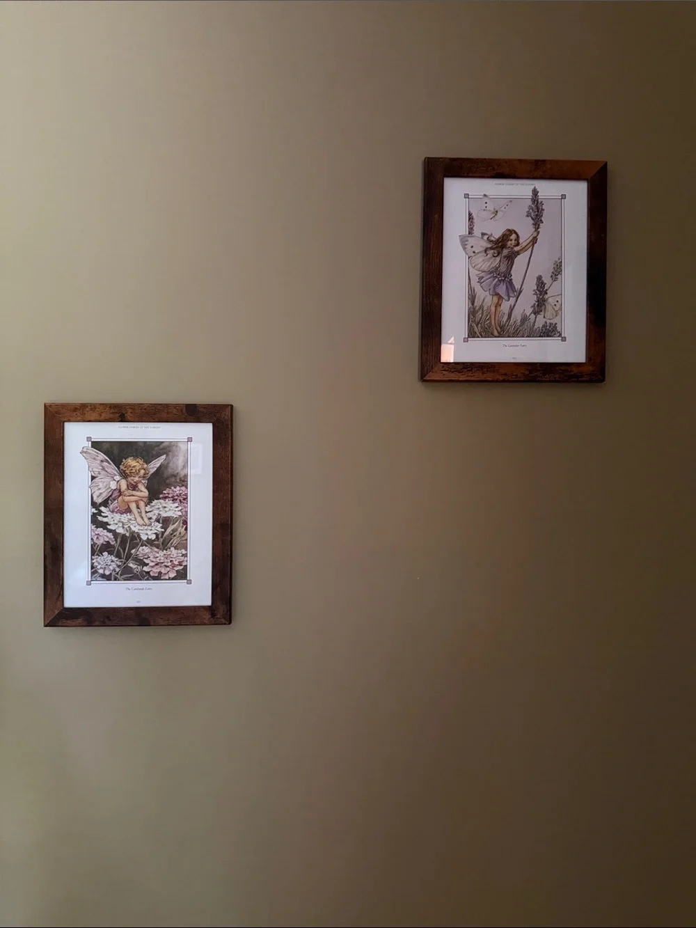 Wooden Frame Fairy Botanical Wall Art Set - Brown